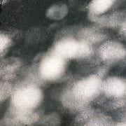 Signal 1